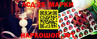 СК Аргун