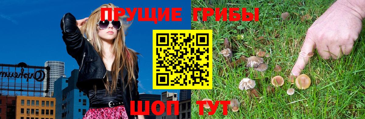 Беслан  Псилоцибиновые грибы мицелий  Вход с VPN 